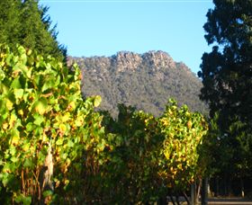 Little River Wines Of Taggerty - Accommodation Gold Coast 6