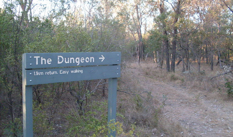 Ashford NSW Gold Coast 4U