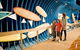 Surfworld Museum Torquay - thumb 0
