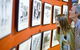Surfworld Museum Torquay - thumb 3