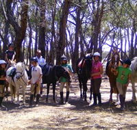 Bellarine Horse Riding Centre - Accommodation Gold Coast