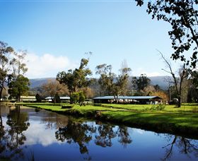 Buxton Trout & Salmon Farm - Accommodation Gold Coast 0