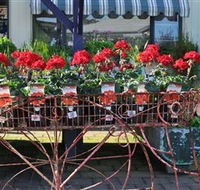 Van Loon's Nursery - Accommodation Gold Coast
