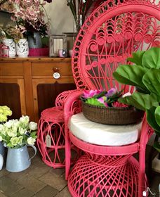 Van Loon's Nursery - Accommodation Gold Coast 3