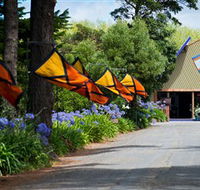 Oakdene Vineyards Restaurant and Cellar Door - Accommodation Gold Coast