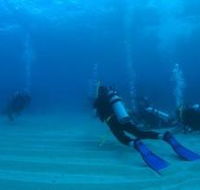 Man and Wife Rocks Dive Site - Accommodation Gold Coast