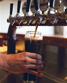 Napoleone Brewery And Ciderhouse - Accommodation Gold Coast 3
