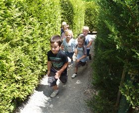 Hedgend Maze And Healesville Laser Sport - Accommodation Gold Coast 1