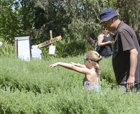Hedgend Maze And Healesville Laser Sport - Accommodation Gold Coast 2