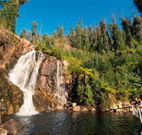 Steavenson Falls Marysville - Accommodation Gold Coast