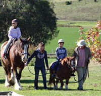 Bathurst Farm Experience - Accommodation Gold Coast