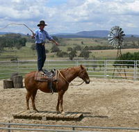 Boggy Creek Shows - Accommodation Gold Coast