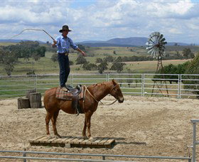 Boggy Creek Shows - Accommodation Gold Coast 0