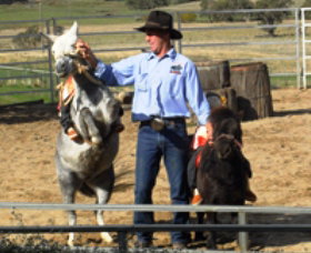 Boggy Creek Shows - Accommodation Gold Coast 2