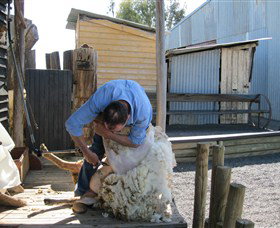 Boggy Creek Shows - Accommodation Gold Coast 4