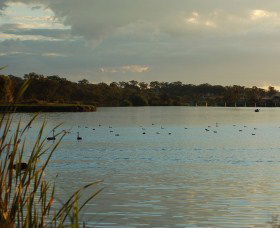 Lake Inverell Reserve - Accommodation Gold Coast 0