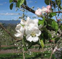 Mouat's Farm - Accommodation Gold Coast