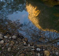 Abercrombie Karst Conservation Reserve - Accommodation Gold Coast