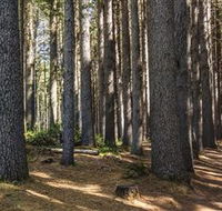 Sugarpine Walk - Accommodation Gold Coast