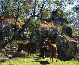  Accommodation Gold Coast