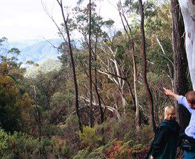 Hume And Hovell Walking Track - 1 Gold Coast 5