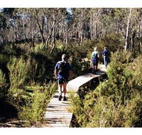 Hume and Hovell Walking Track - Henry Angel Trackhead - Accommodation Gold Coast