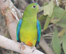 Moonlit Sanctuary Wildlife Conservation Park - Accommodation Gold Coast 3