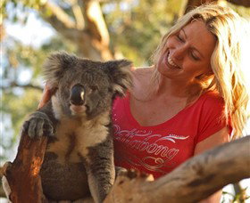 Moonlit Sanctuary Wildlife Conservation Park - Accommodation Gold Coast 5