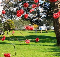 The Yass Golf Club - Accommodation Gold Coast