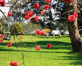 The Yass Golf Club - Accommodation Gold Coast 0