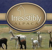 Marchmont Park Alpacas - Accommodation Gold Coast