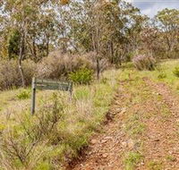 Old Mountain Road Walking Track - Accommodation Gold Coast