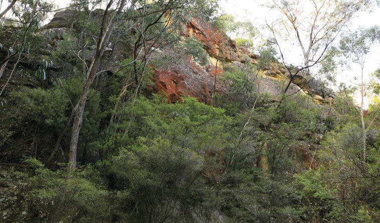 Hampton NSW Accommodation Gold Coast
