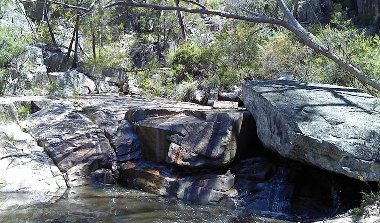 Wellington Vale NSW Accommodation Gold Coast