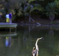 Birdwatching in the South Burnett - Accommodation Gold Coast