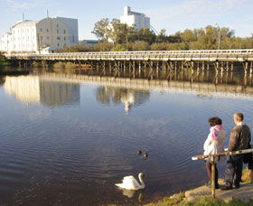 Avon River - Accommodation Gold Coast 1