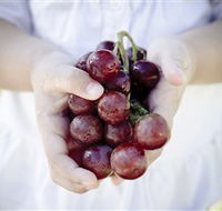 Granitevale  Estate Winery - Accommodation Gold Coast