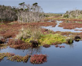 French Island National Park - Accommodation Gold Coast 0