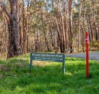 Lobs Hole Ravine 4WD Trail - Accommodation Gold Coast