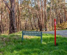Lobs Hole Ravine 4WD Trail - Accommodation Gold Coast 0