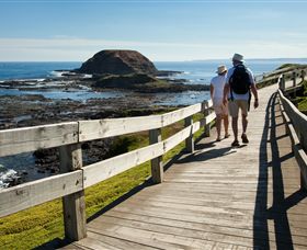Phillip Island Nature Parks - Accommodation Gold Coast 3