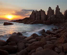 Phillip Island Nature Parks - Accommodation Gold Coast 6