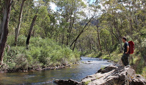 Yarrangobilly Caves - Accommodation Gold Coast 1