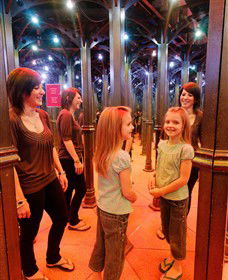 A Maze'N Things - Accommodation Gold Coast 5