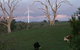 Crookwell Wind Farm - thumb 1