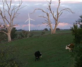 Crookwell Wind Farm - Accommodation Gold Coast 1