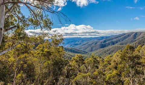 Wallace Creek Lookout - Accommodation Gold Coast 2