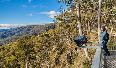Wallace Creek Lookout - Accommodation Gold Coast 3