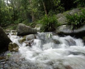 Washpool National Park - 1 Gold Coast 0