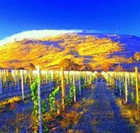 Surveyors Hill Winery - Accommodation Gold Coast